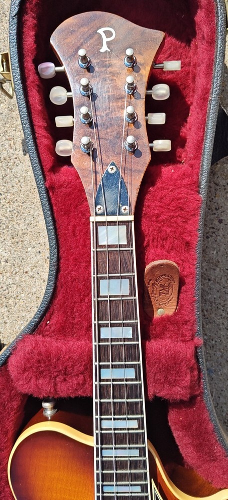 Custom P Mandolin with Case