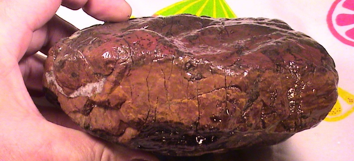 Chalcopyrite Script Jasper Agate, Natural Lapidary Rock, 3 LBS, 4 OZ, #300