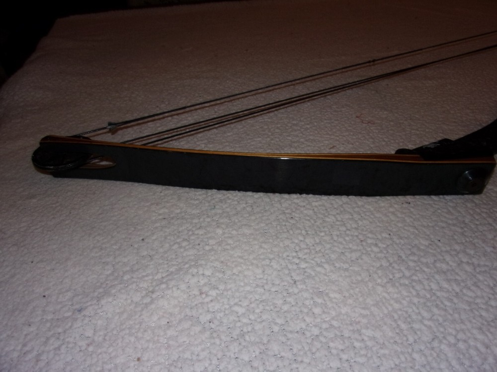 Vintage Darton Archery SL 50M Compound Bow