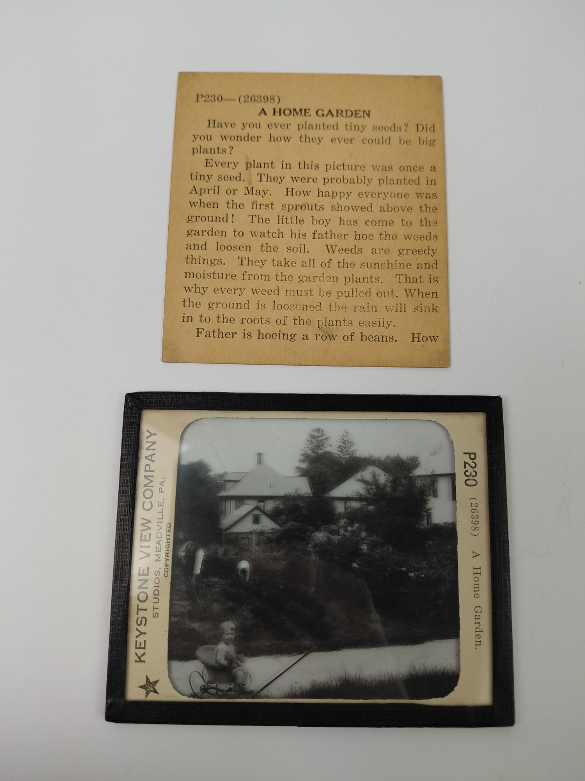 Magic Lantern Glass Slide Photo Keystone P230 An American Home Garden