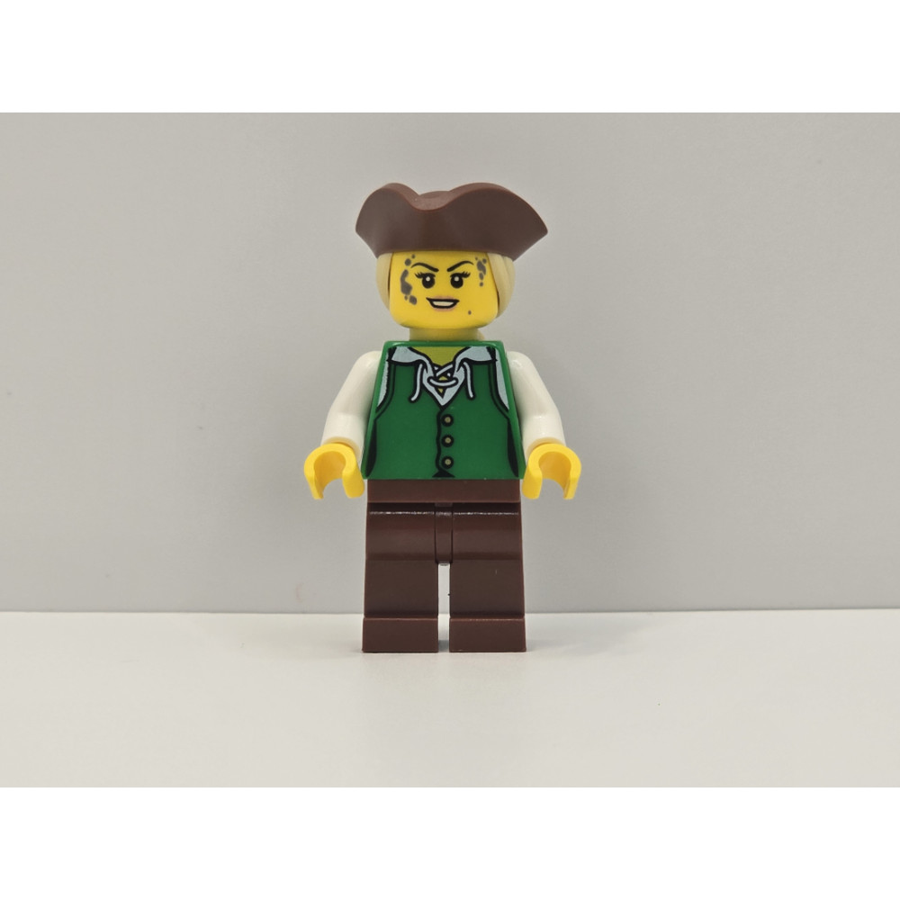 Lego Ideas Minifigure idea070 Robin Loot