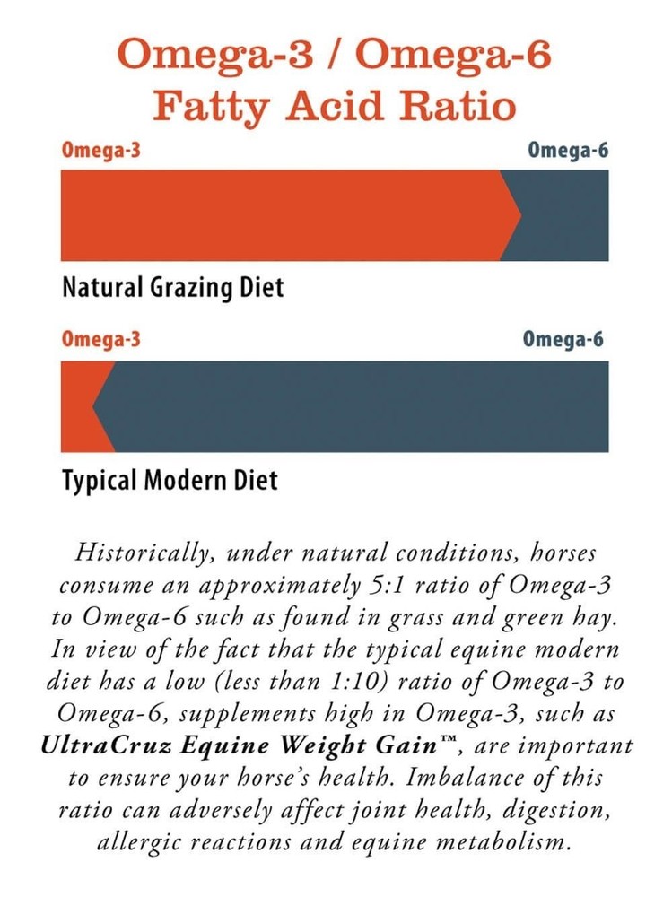 Equine Weight Gain, 1 Gallon