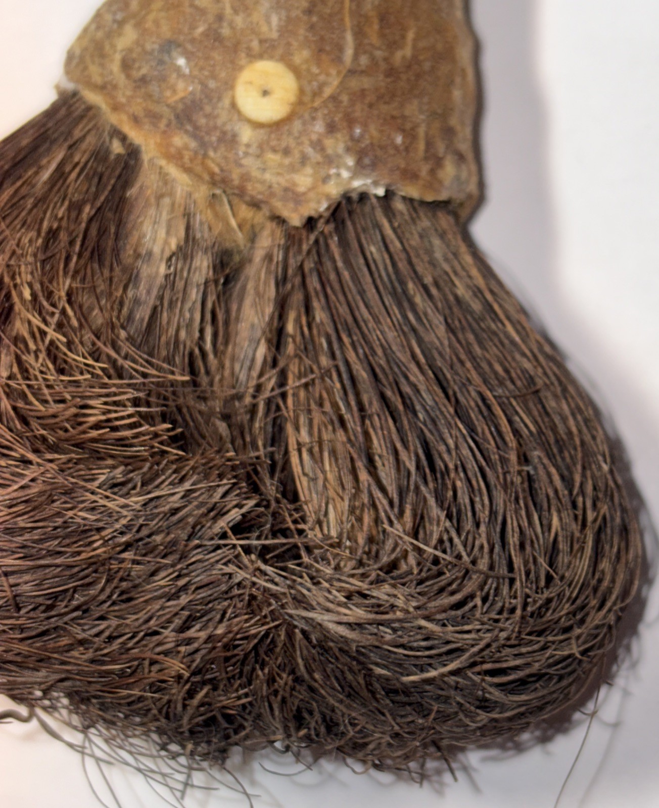 CHUKCHANSI OR MIWOK NATIVE AMERICAN SOAPROOT BRUSH 4”