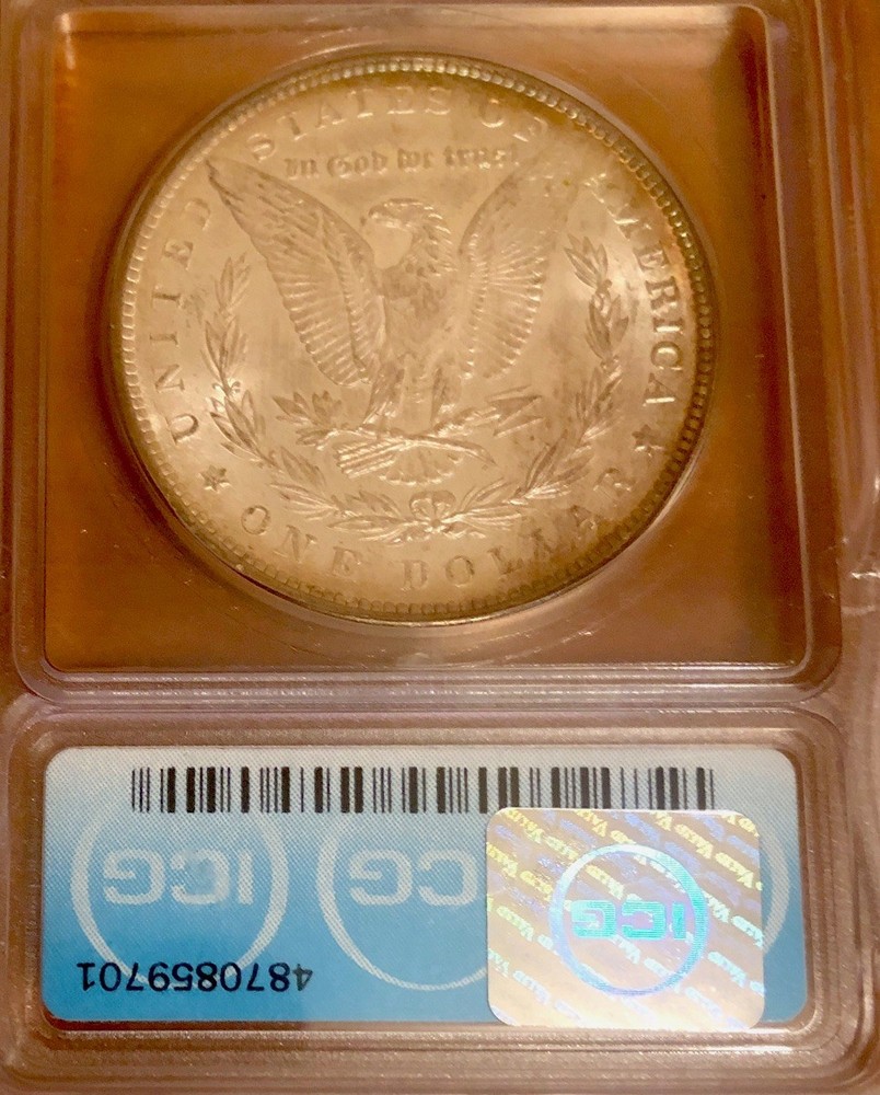 1889 Morgan Dollar Toned