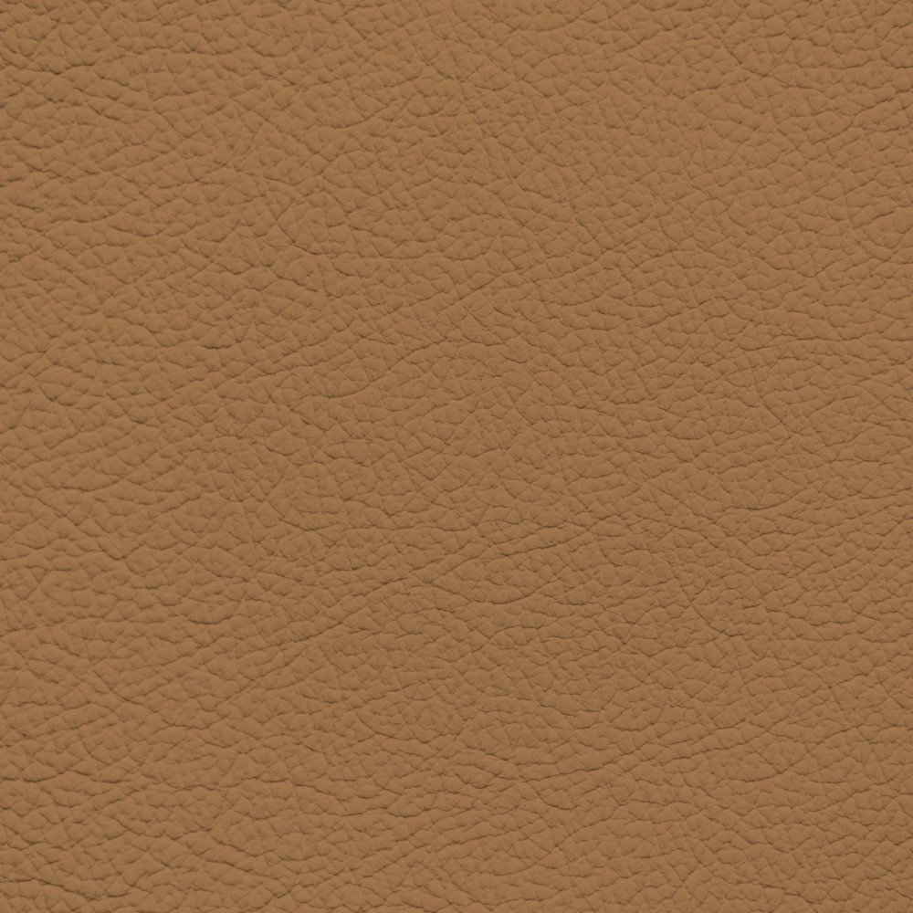 Jaguar Cinnamon Leather Dye