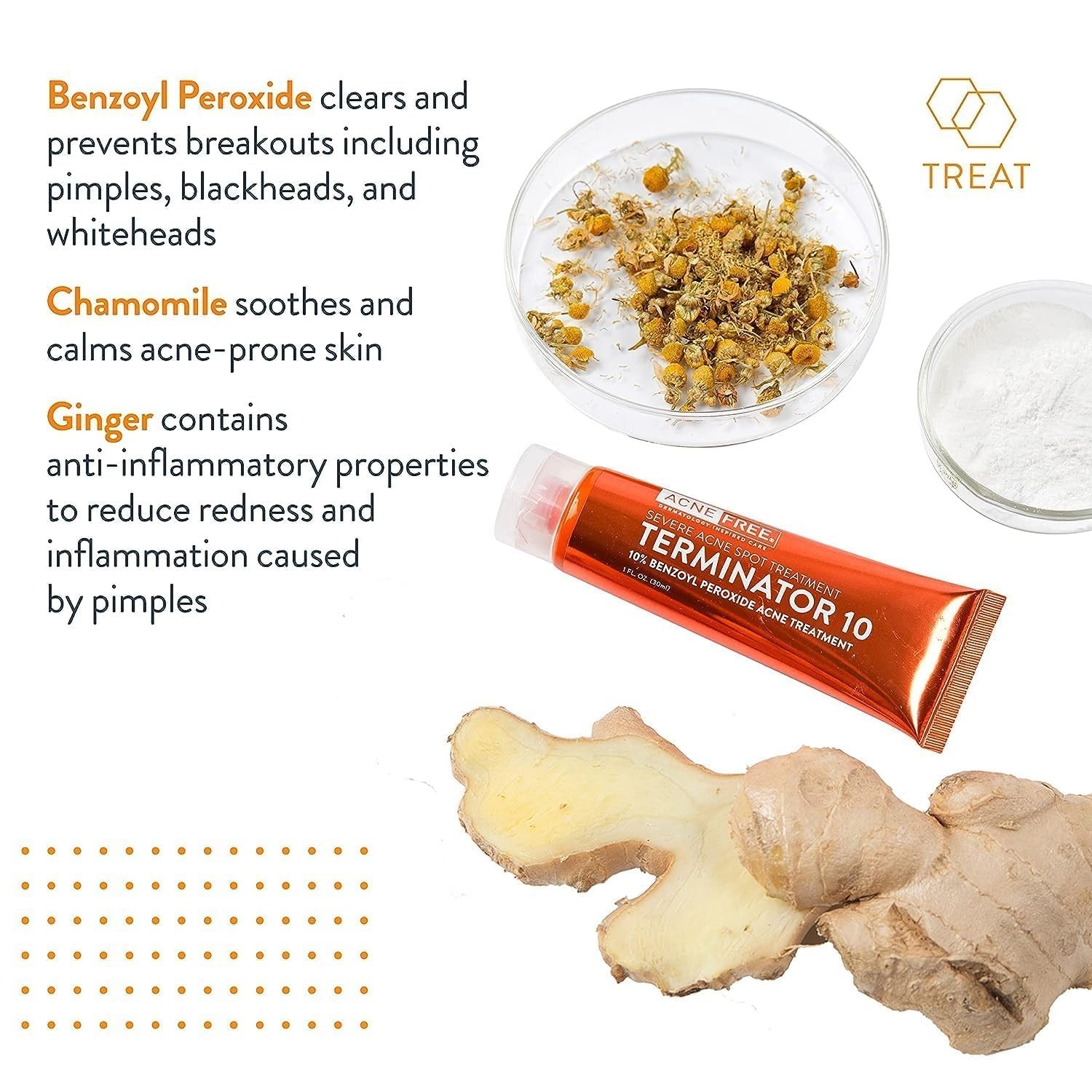 Terminator 10 Acne Spot Treatment with Benzoyl Peroxide 10% Maximum Strength 1Ct