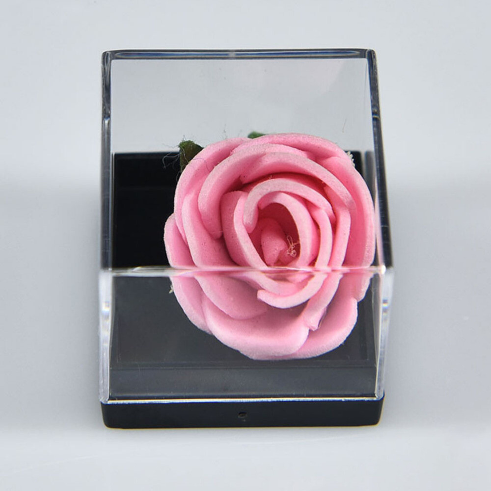 12pcs Plastic Square Box Mineral Specimen Collection Box Storage Box Transparent