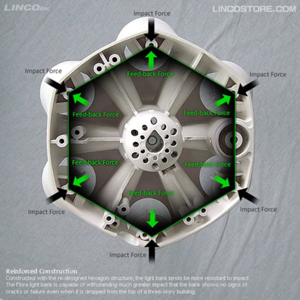 Linco Flora Fluorescent Light Bank