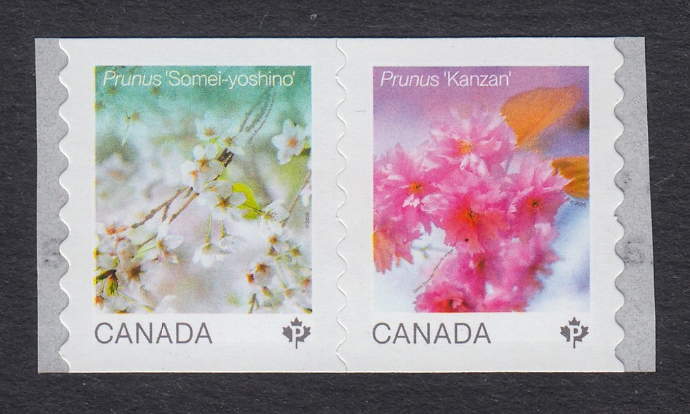 Canada 2026 mnh * CHERRY BLOSSOMS * Coil PAIR, Type-2