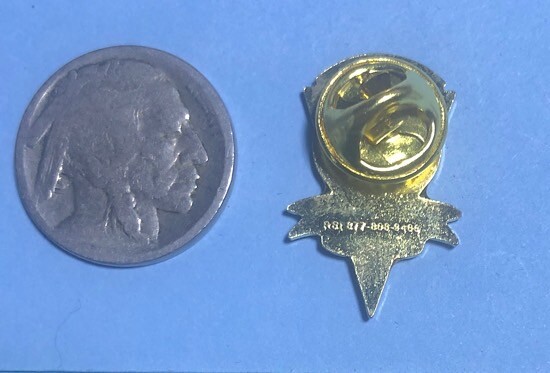 Tennessee FIRE Service Codes Enforcement ACADEMY Lapel Pin