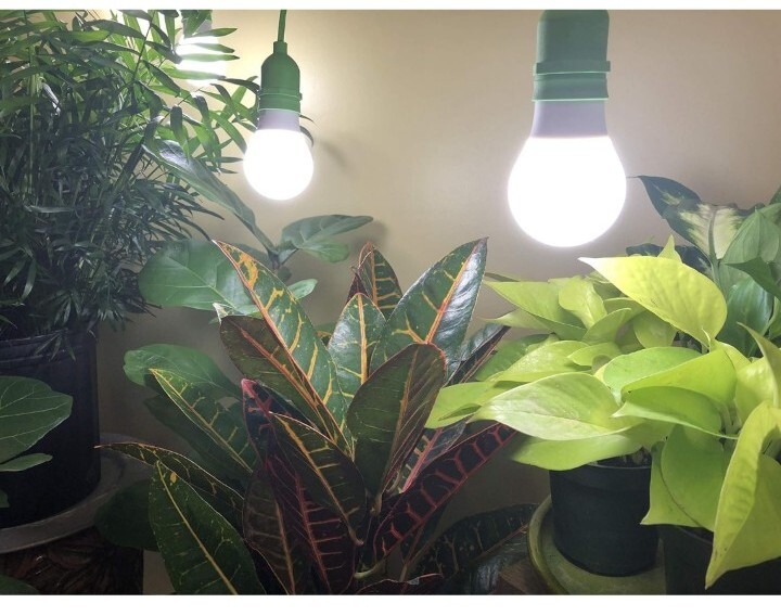 MiracleLED Hydroponics led Grow Light Kit (4 Pack) D30