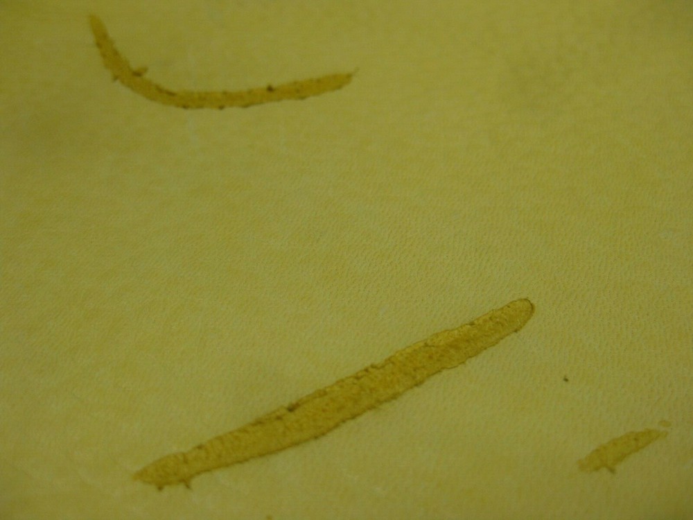 Top Grain Deer Leather #0013862 Row ZZ