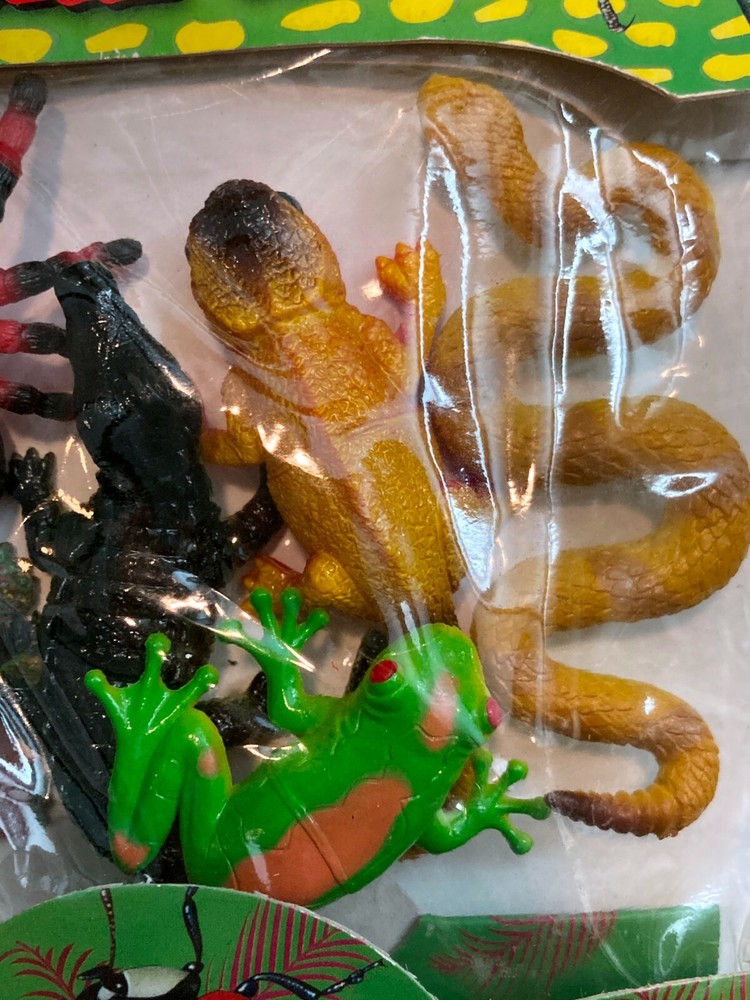 Natural World 6 Creatures Animals Snake Turtle Spider Lizard Tree Frog Alligator
