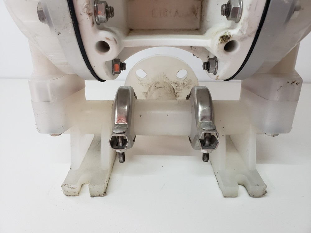 Versamatic Diaphragm Pump E1PP5F5T9C-CP Warren Rupp