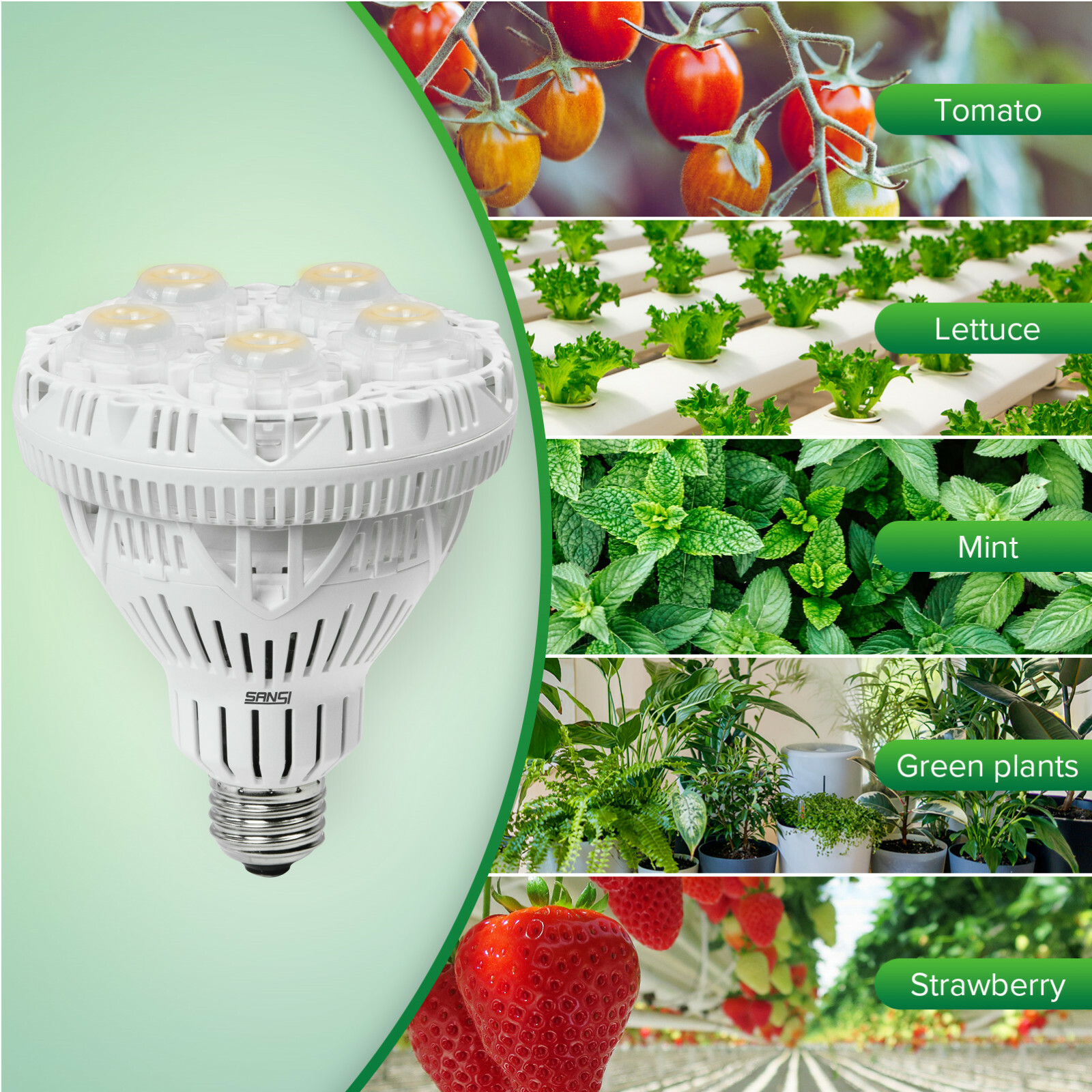 SANSI LED Grow Light Bulb Full Spectrum 10W/15W/24W/36W Grow Light E26 Base