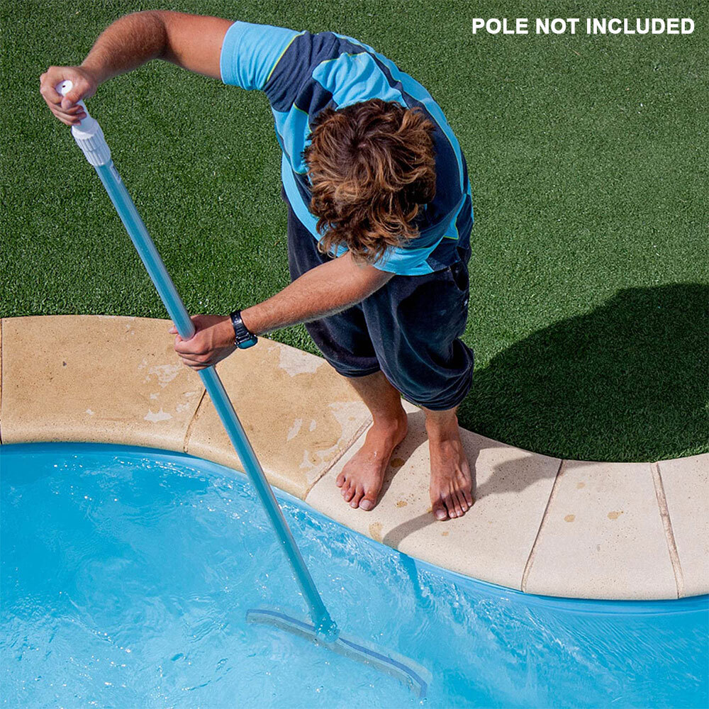 Pool Brush Head for Cleaning Pool Wall, Inground/Above Ground Pool Scrub Brushes