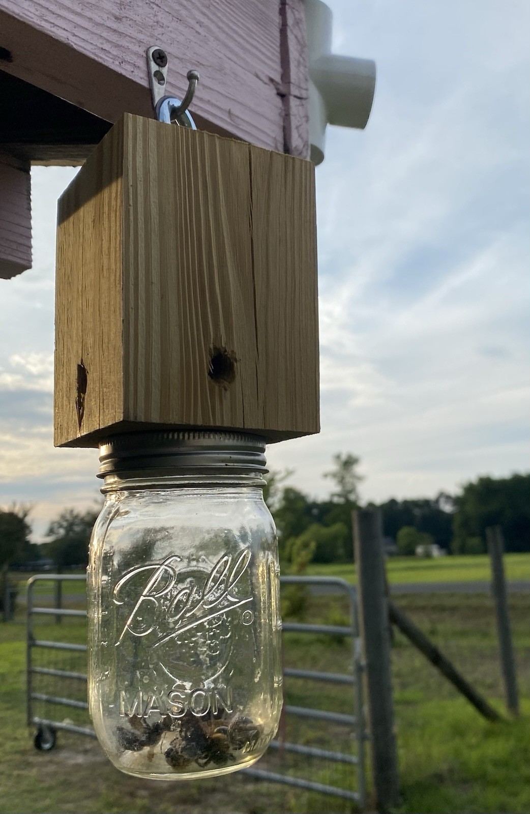 A Pair Of Paw Paw’s Handmade Carpenter Bee Traps Shipped