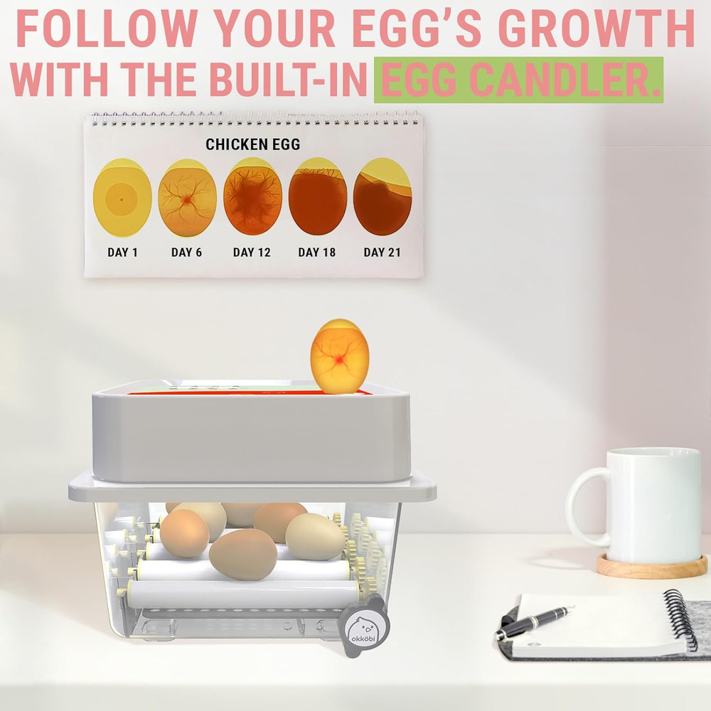 OBI-12 Incubator for Hatching Eggs – 12 Eggs, Easy to Use, Stable Temperature
