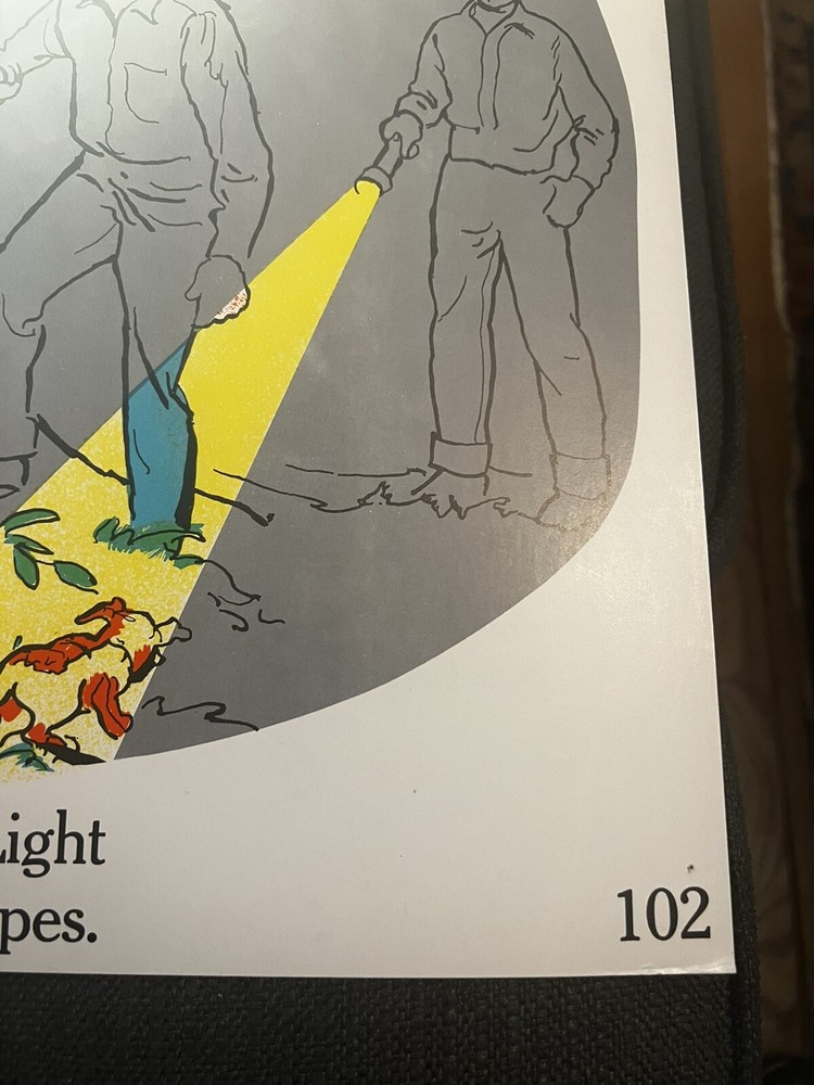 VINTAGE A.J. Nystrom Elementary science chart Fire 🔥 & Light chart 24” x18.5”