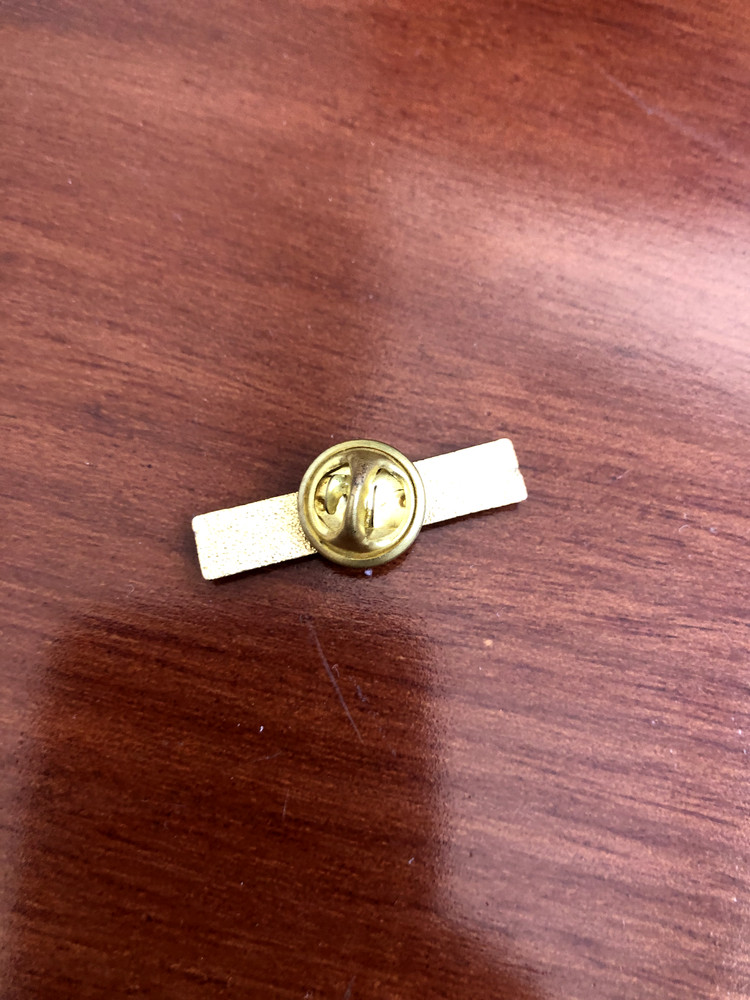 PARADOX pin