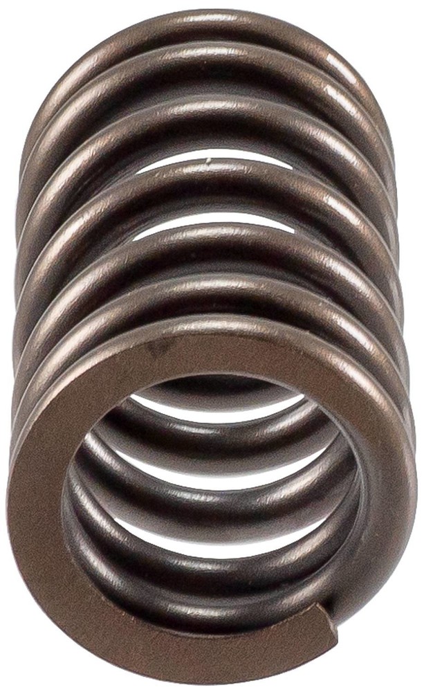 Engine Valve Spring-Stock Melling VS-1379