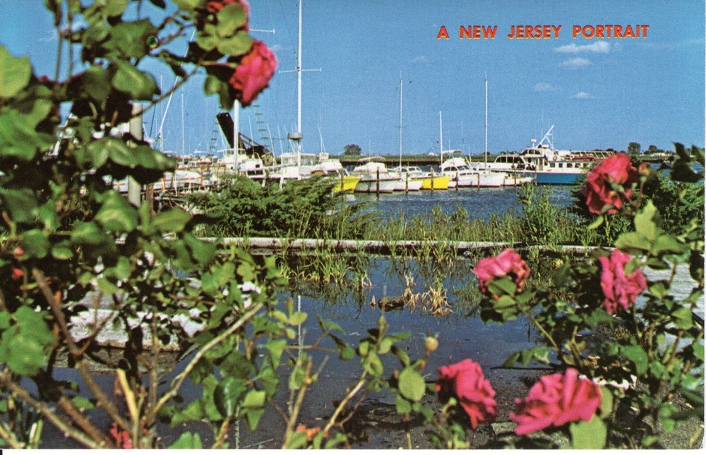 MARINA, POINT PLEASANT, NJ - PC1446