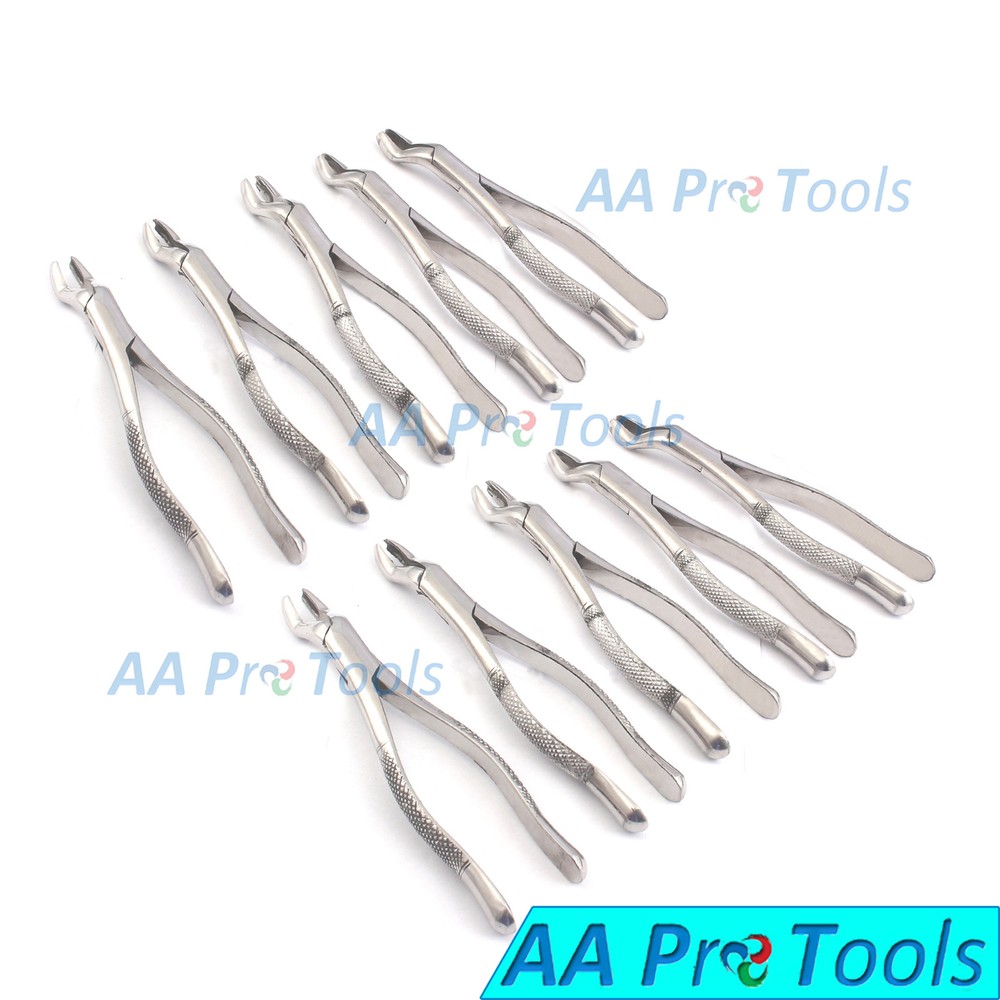10 Pcs Tooth Extracting Forceps 53L, Extraction Forceps, Dental Hand Instruments