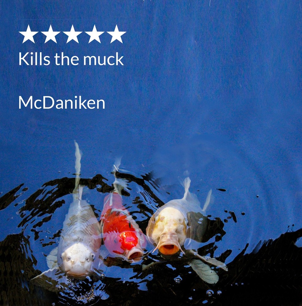 API POND ECOFIX SLUDGE DESTROYER Cleaner Natural Bacteria Algae Organic Remover