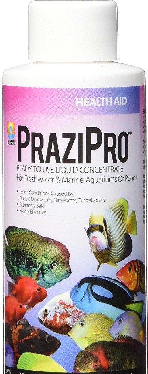 Hikari Prazipro PRO 1 OZ Parasites Safest Best Parasite Treatment On The Market