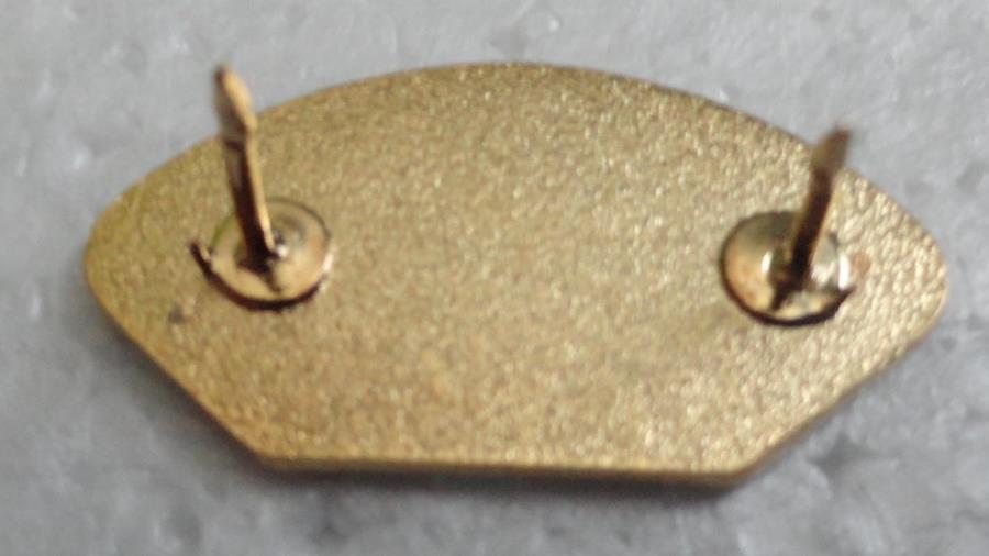 Enduring Freedom (Afghanistan) Veteran Hat Pin