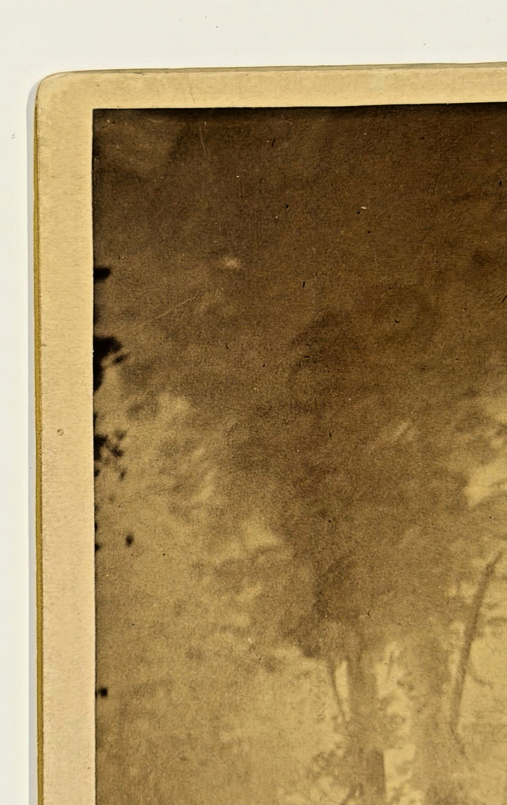 Antique Native American Indian Albumen Print "Chief John Grass" By: D. F. Barry