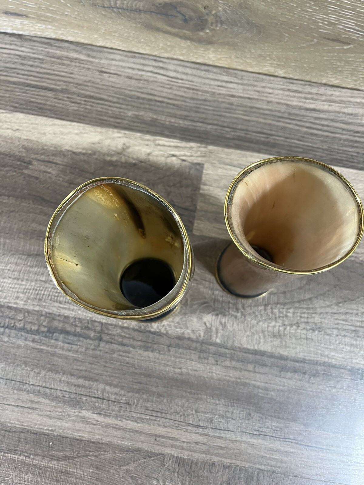 Ox Horn Viking Drinking Mug Cup Set of 2 Ale Beer Glasses