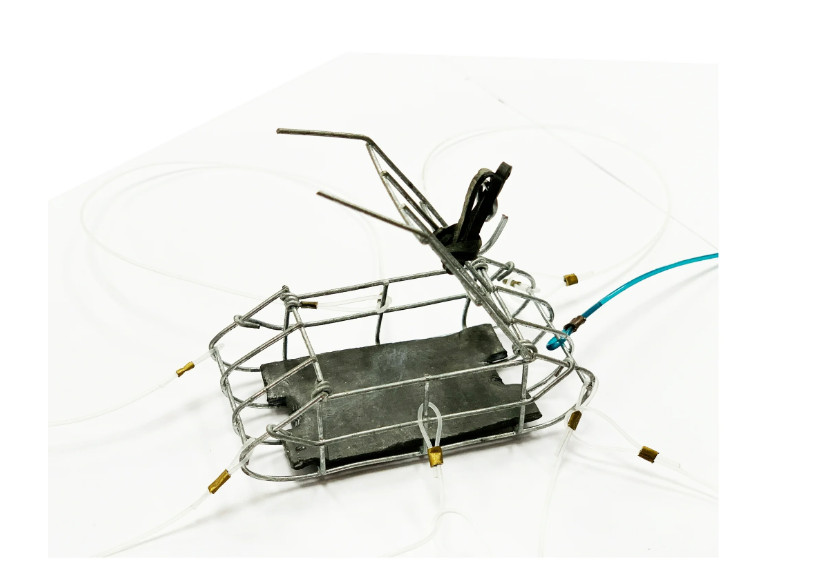 Promar Weighted Crab Snare Trap