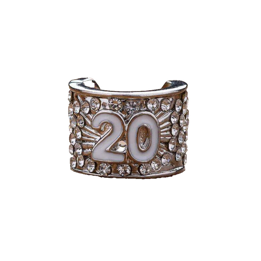 CharMED Stackable Personalize Stethoscope Bling Charm | 20 Year Milestone