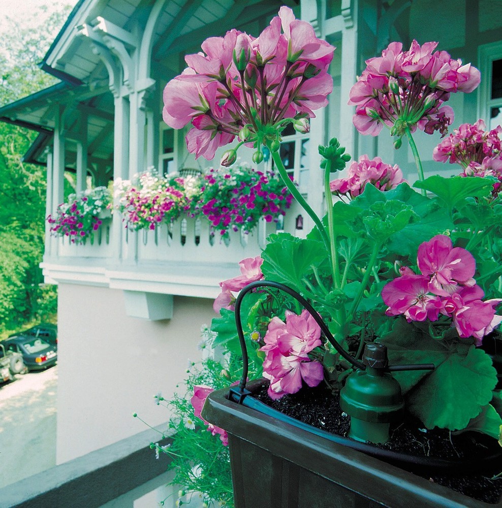 Blumat Medium Watering Kit (12 Pack) - Automatic Self-Drip Irrigation System