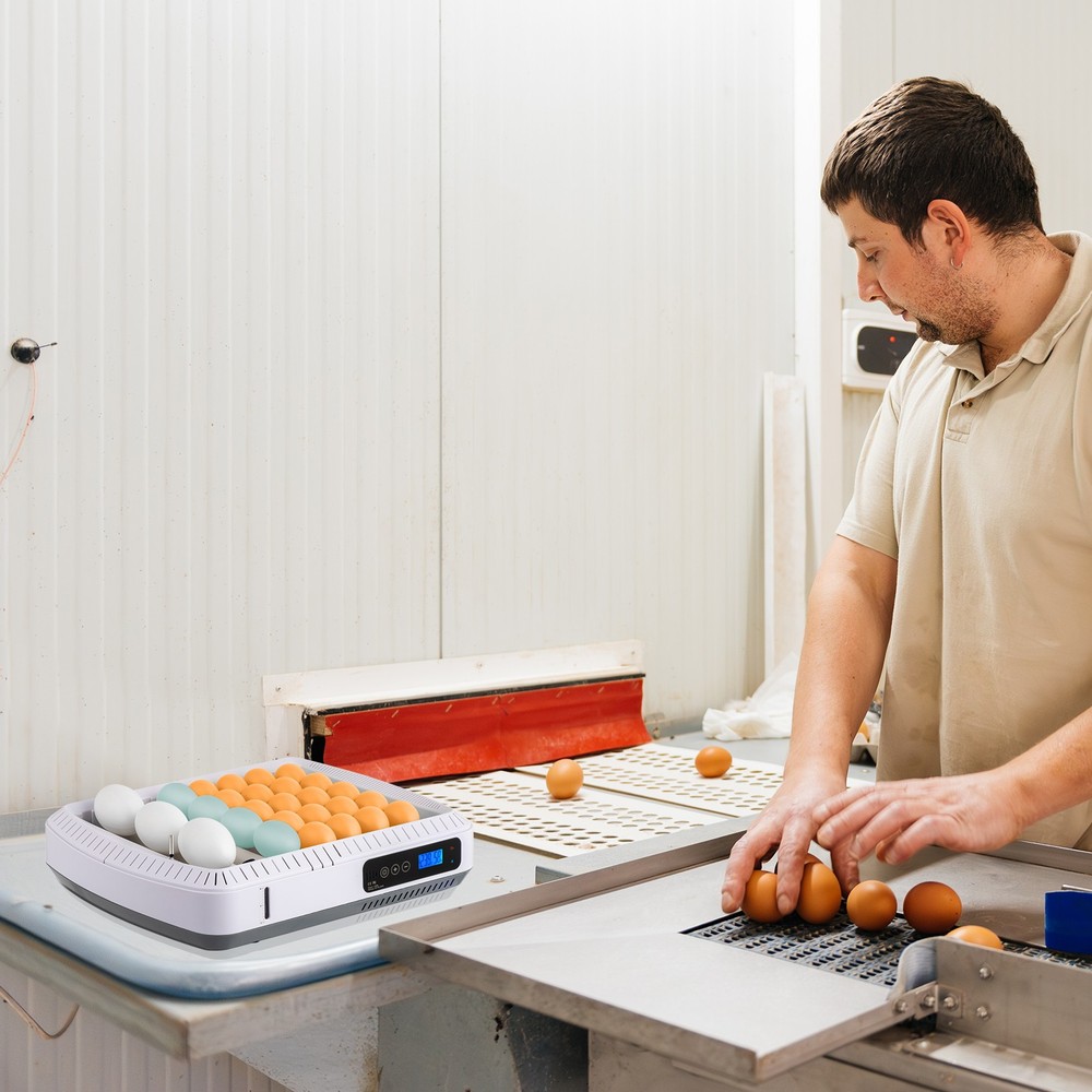 35 Eggs Incubator Fully Automatic Turning & Water Refill Temp & Humidity Control