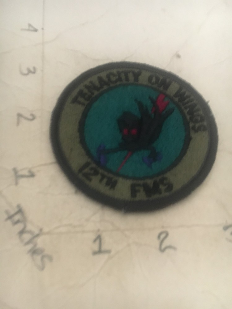 USAF 12th FMS Squadron subdued patch 7/6/25