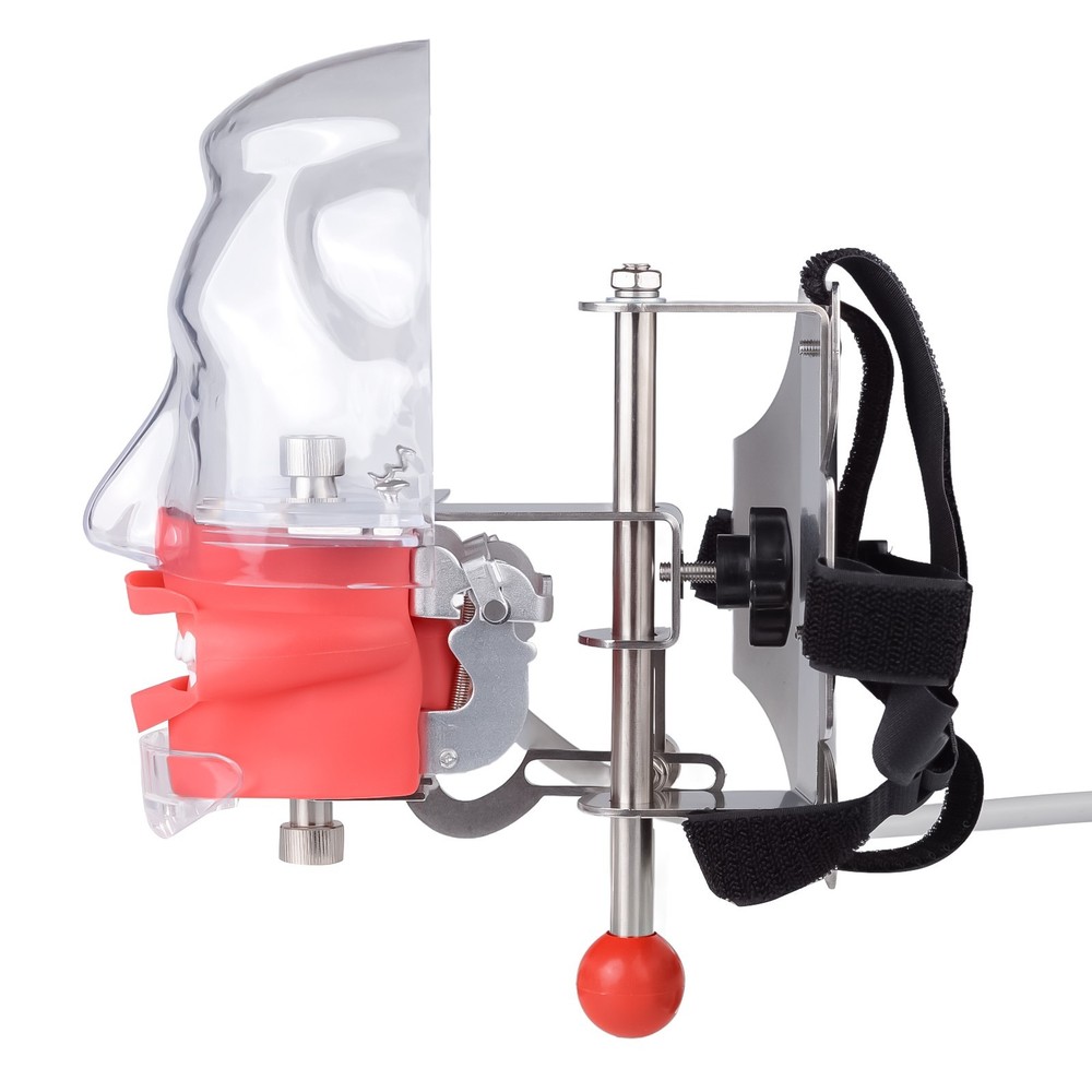 Dental Simulator Mannequin Head Teaching Typodont Model with 28 Removable Teeth