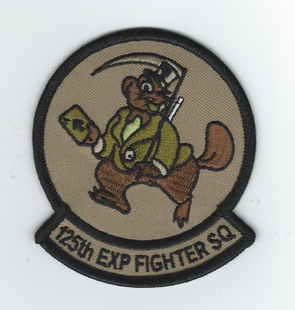 125th EXPEDITIONARY FIGHTER SQUADRON (THEIR LATEST, 2018) patch