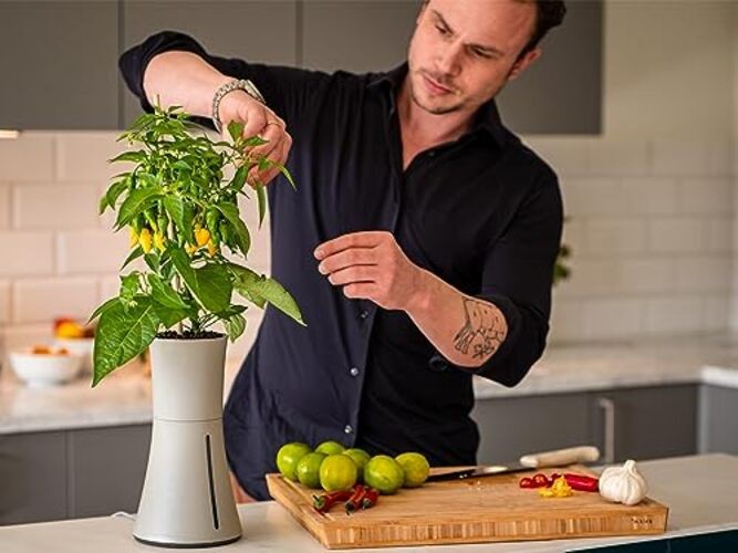 Hydroponic and Automatic Indoor Gardening Pot, Grey Ash Grey