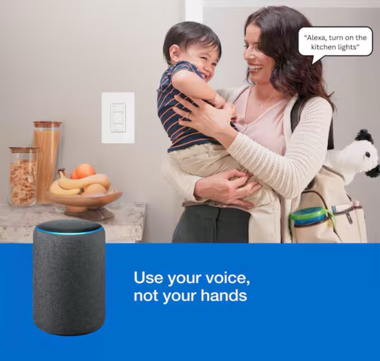 LutronDiva Smart Dimmer Switch Starter Kit for Caseta Smart Lighting DVRF-BDG1D