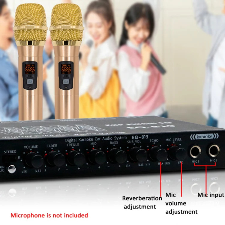 EQ-819 Car Audio Equalizer EQ Tuning Crossover Amplifier Supports Dual Micropho
