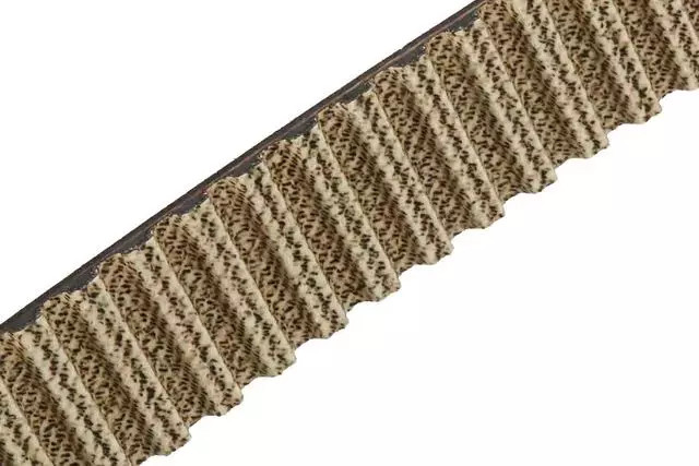 Genuine GM Timing Belt 55580776