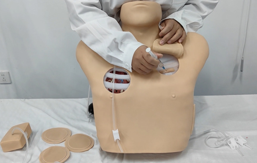 2pc Thoracic Puncture & Closed Drainage Training Model