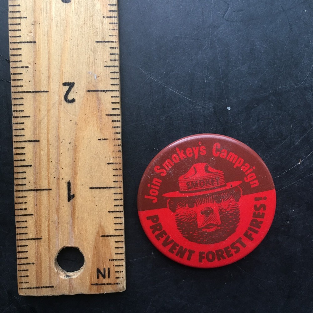 Join Smokey's Campaign Prevent Forest Fires Vintage Button 1.5"