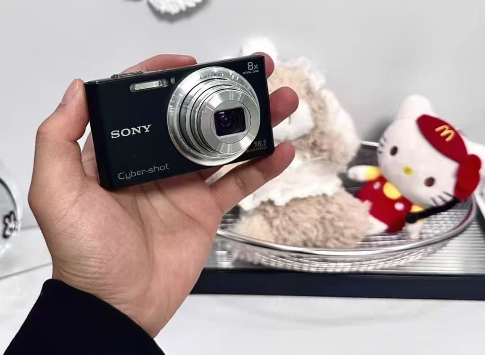 Sony Cyber-shot DSC-W730 Digital Camera fully functiona w Battery Charger