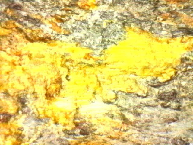 Gold and Platinum Mineral Specimen/ Black Hills South Dakota