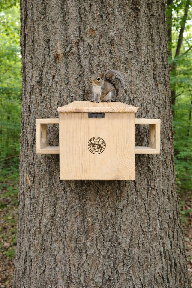 Extra Large Handmade White Pine Squirrel House – Outdoor Nesting Box
