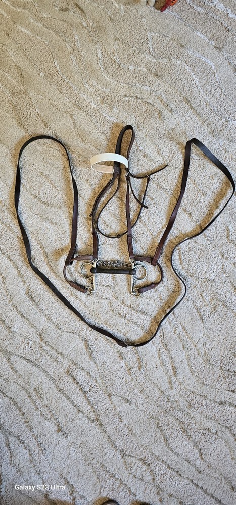 Vintage Bridle With Rubber Bit