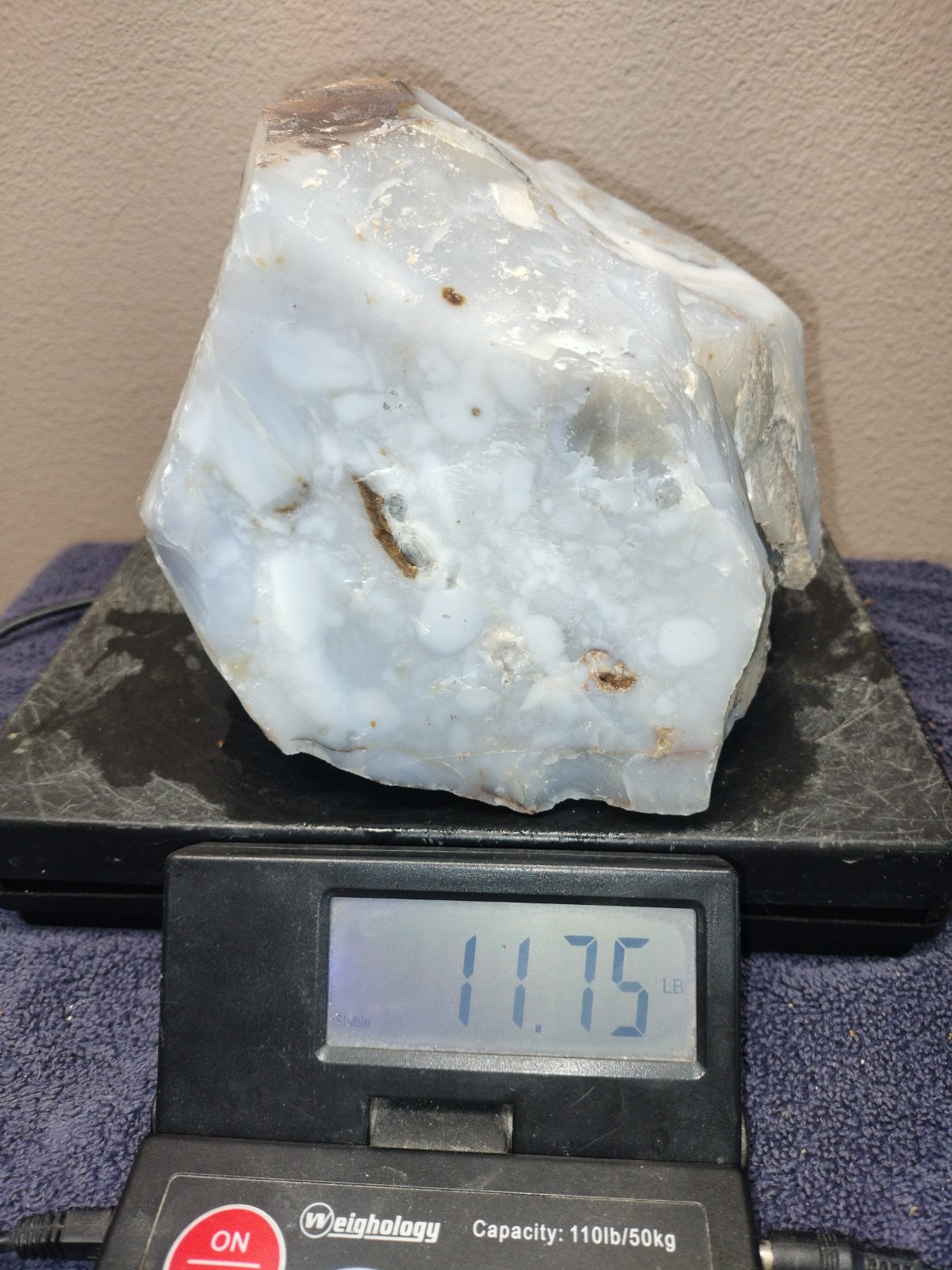 11.7LB UV Polka Dot Agate Rough From Ashwood, OR USA Cabochon/Slab Stock #25